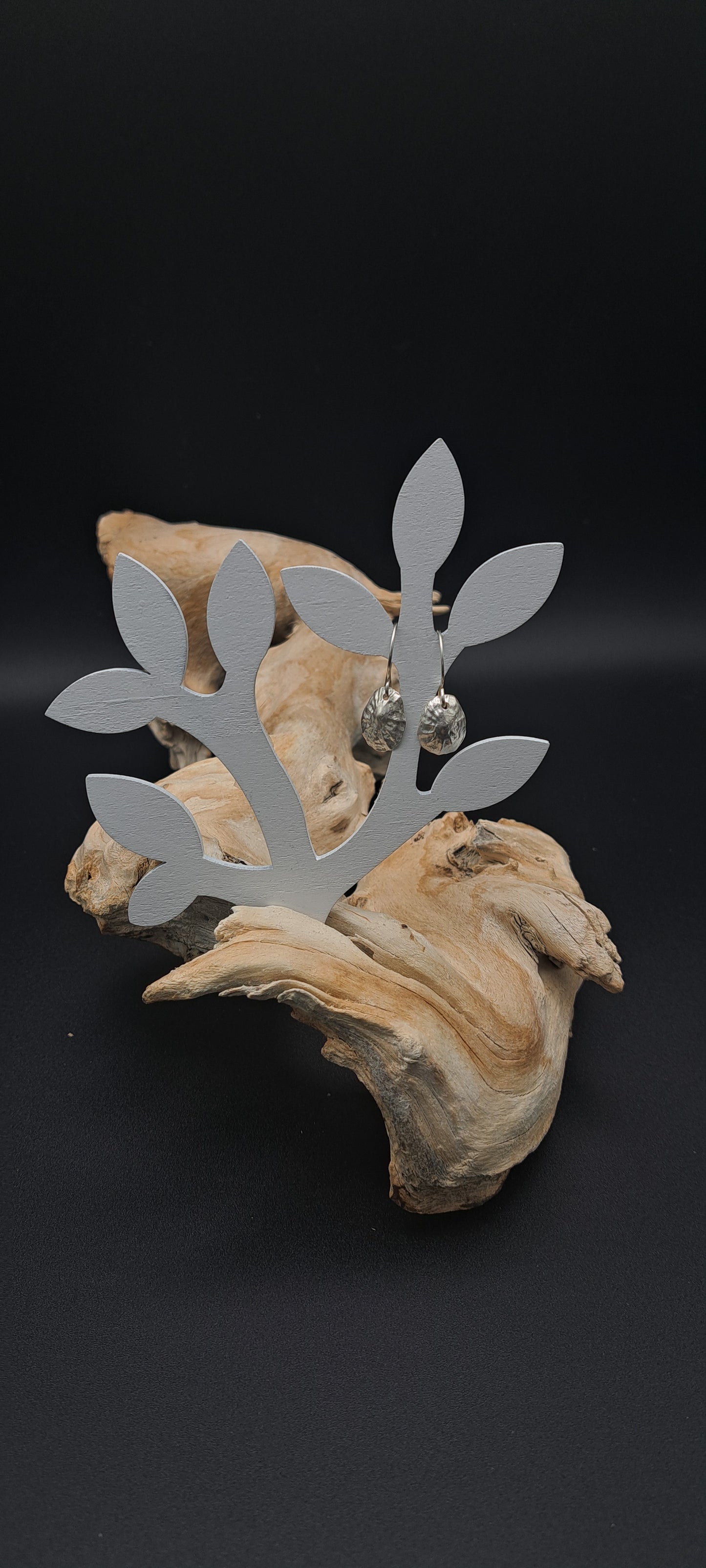 Small fine silver limpet shell earrings