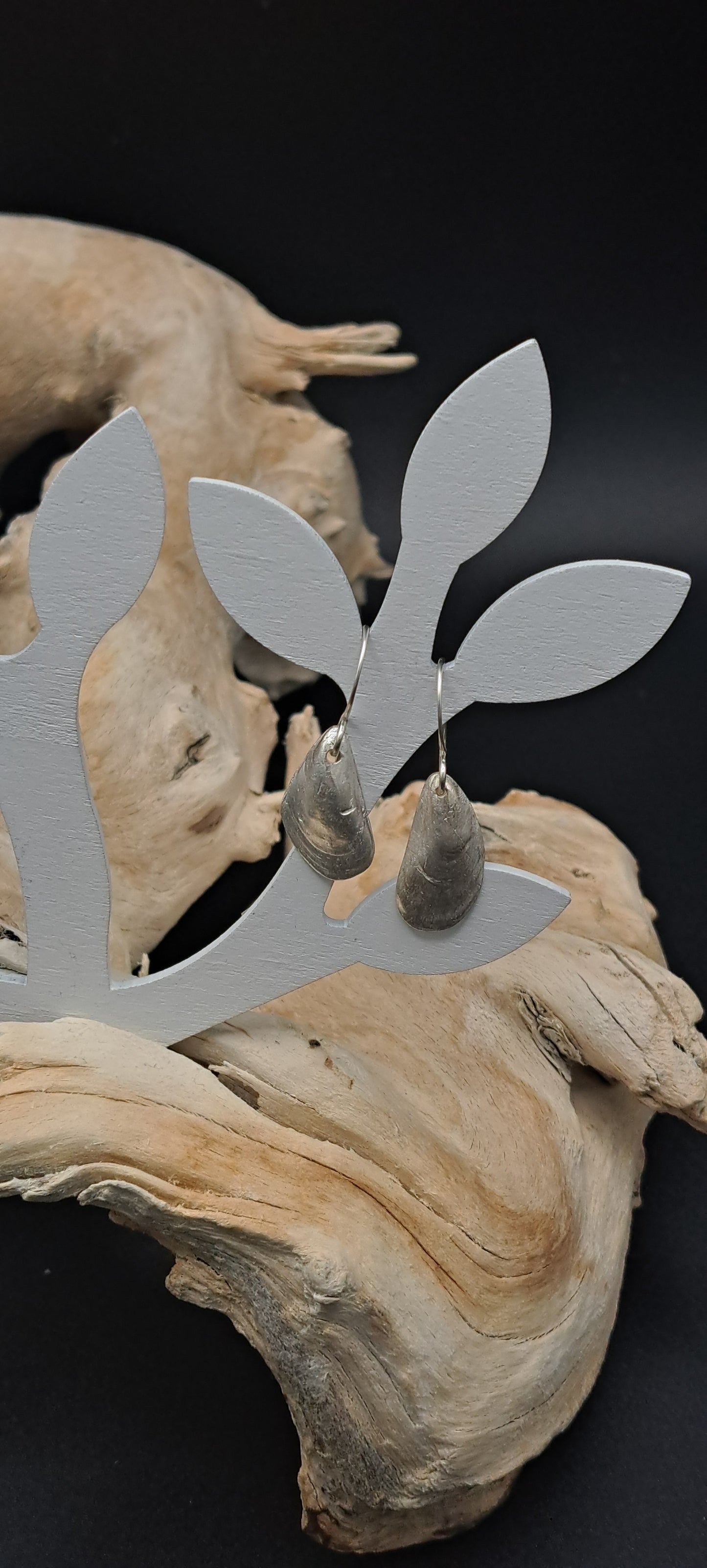 Small fine silver mussel shell earrings