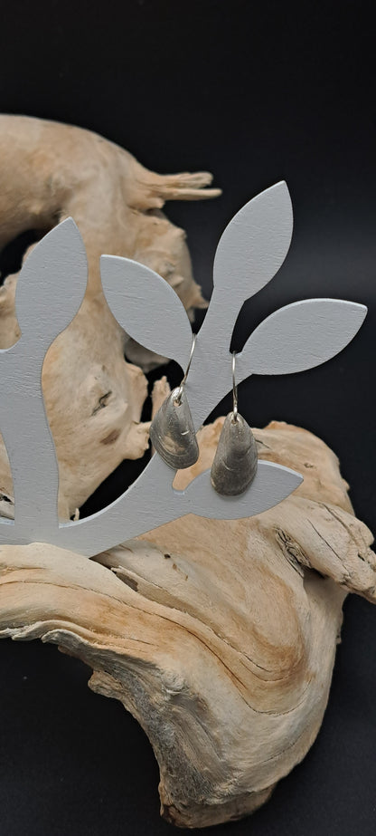 Small fine silver mussel shell earrings